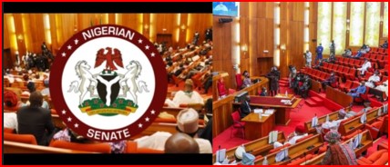 Senator Enyinnaya-Abaribe